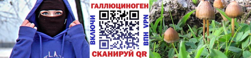 Галлюциногенные грибы Magic Shrooms  Купить закладки  Иланский 